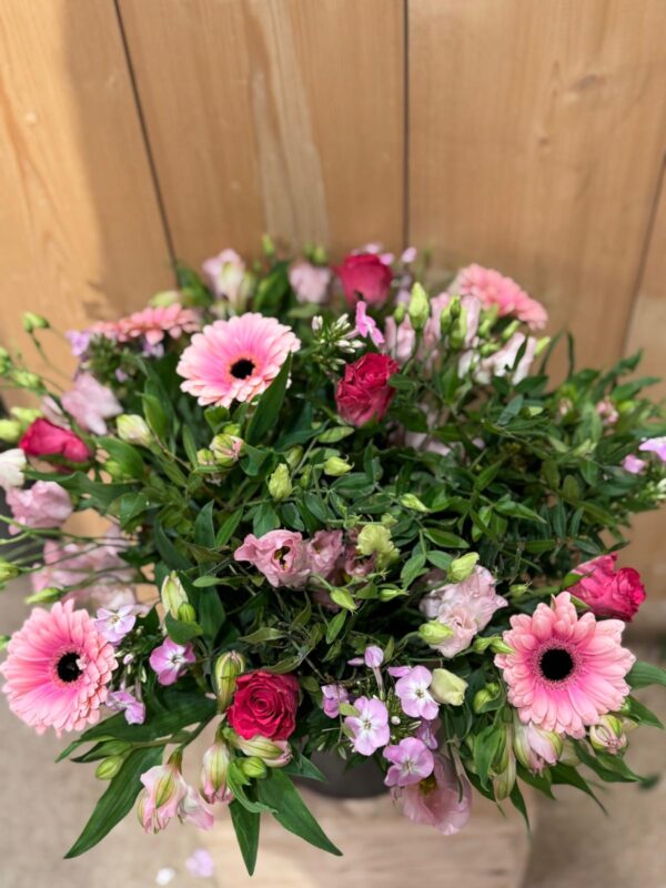 pink perfection