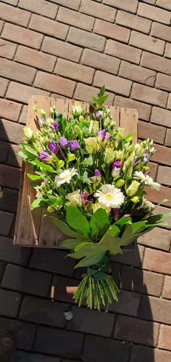 Blauw witte veldpracht
