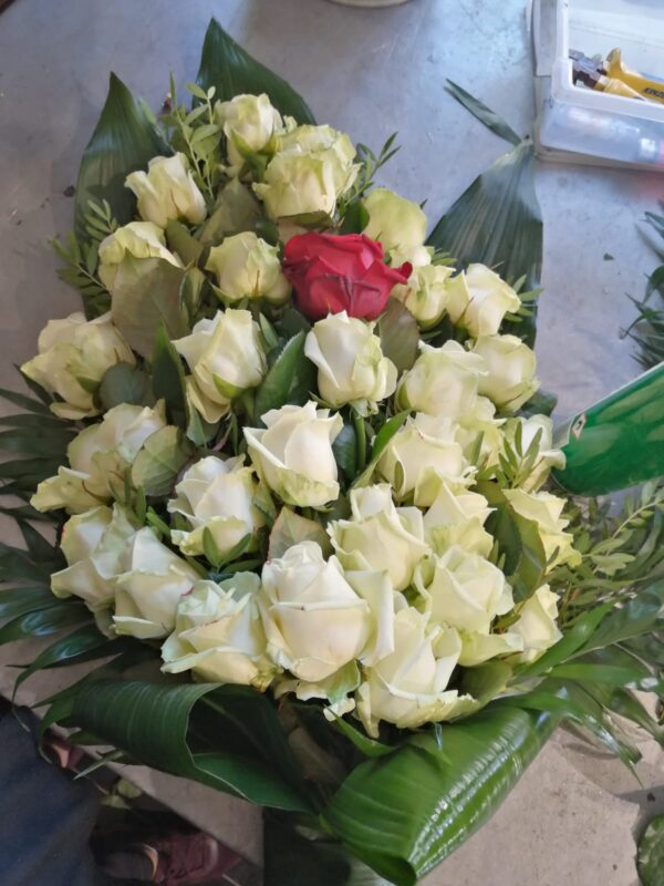 Witte roos