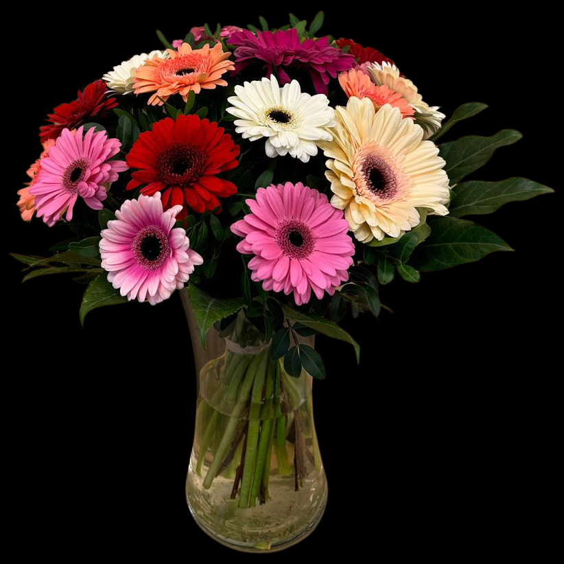 boeket Gebera Festijn met gerbera’s in verschillende kleuren